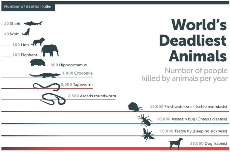 2024-11-04_10_25_15-The_deadliest_animal_in_the_world___Bill_Gates