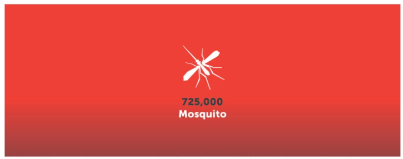 2024-11-04_10_25_40-The_deadliest_animal_in_the_world___Bill_Gates