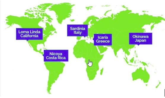 2024-06-11_18_32_18-quali_sono_le_blue_Zones__-_Google_Search